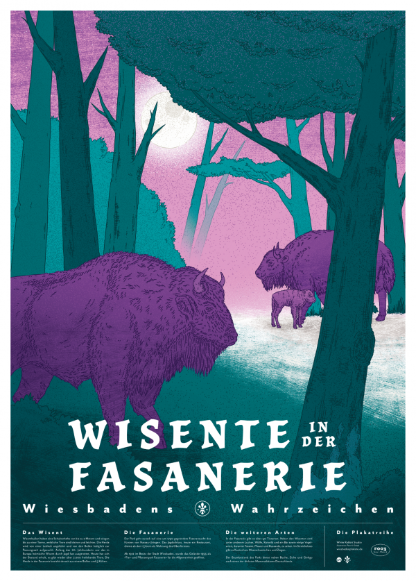 Wisente in der Fasanerie